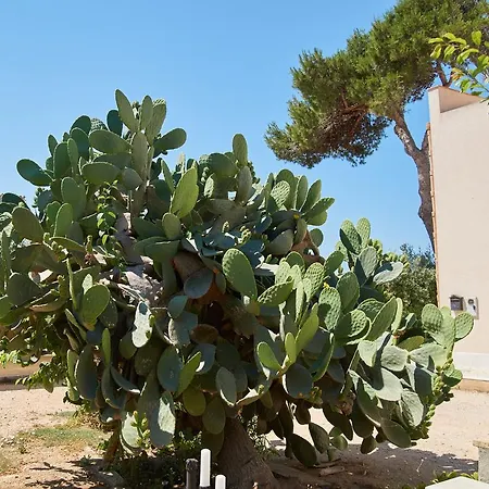 לינה וארוחת בוקר Casolare Nelle Saline Torre Nubia